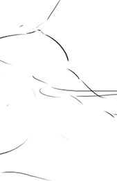 Link Page 02a