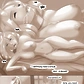 Path of the Genie 55 High Res